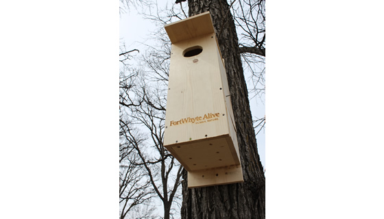 Consumer/Gifts - Fort Whyte Alive Wood Duck Box